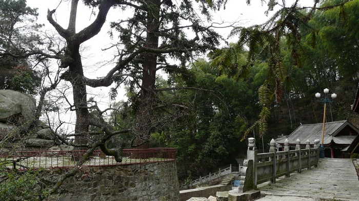 p1110594.jpg
