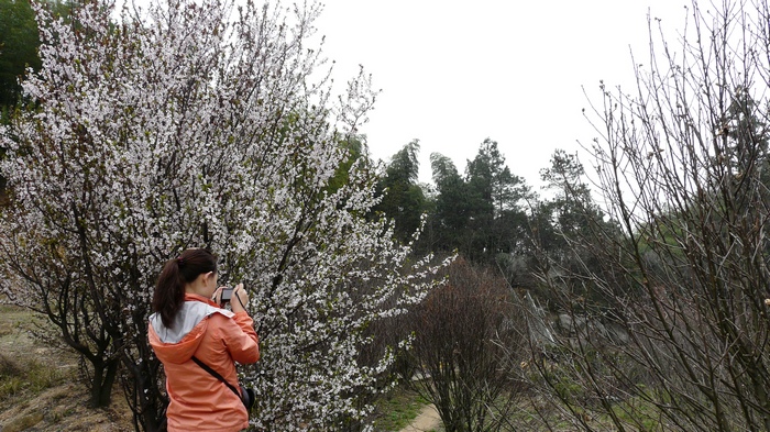 p1110597.jpg