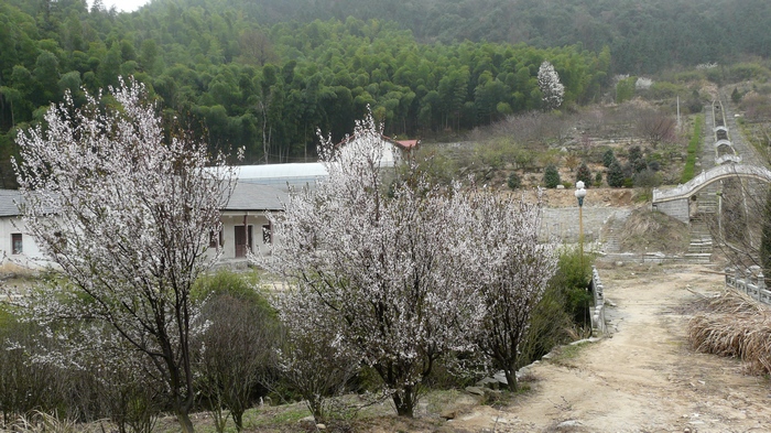 p1110629.jpg