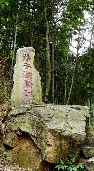 p1110571.jpg