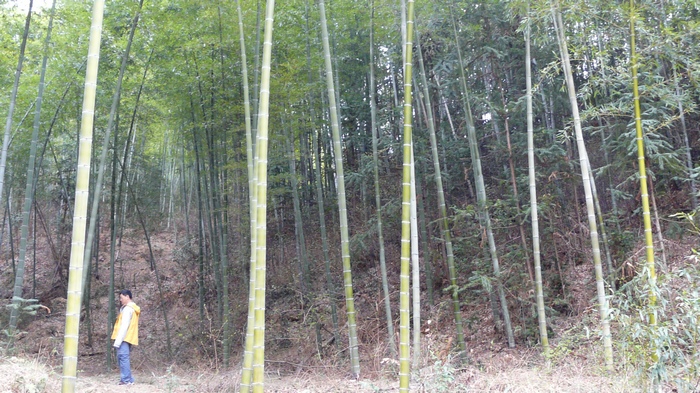 p1110603.jpg