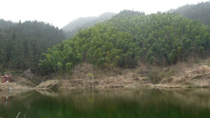 p1110610.jpg