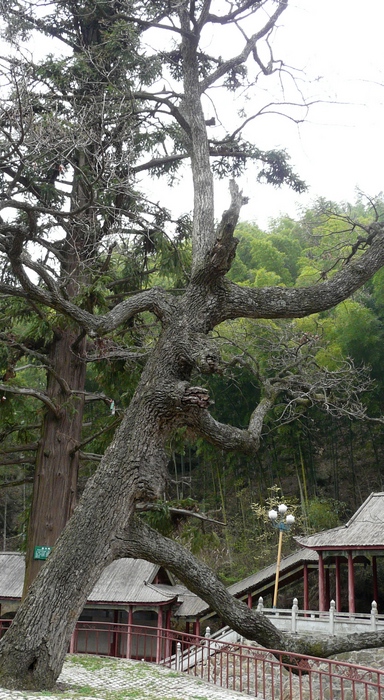 p1110631.jpg