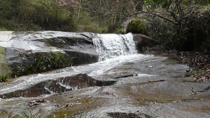 p1110649.jpg