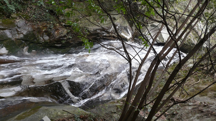 p1110661.jpg