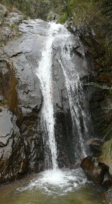 p1110677.jpg