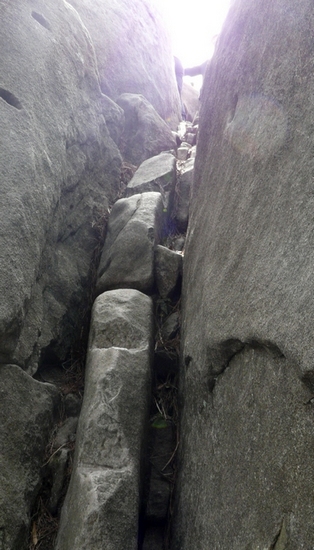 p1110875.jpg