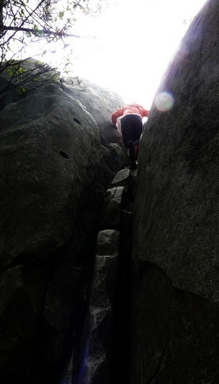 p1110874.jpg