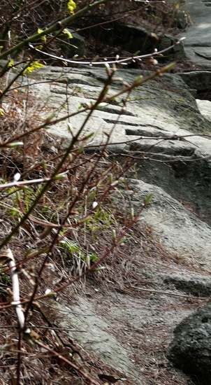 p1110887.jpg