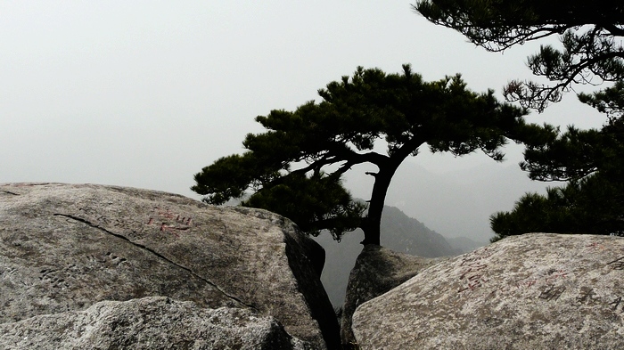 p1110893.jpg