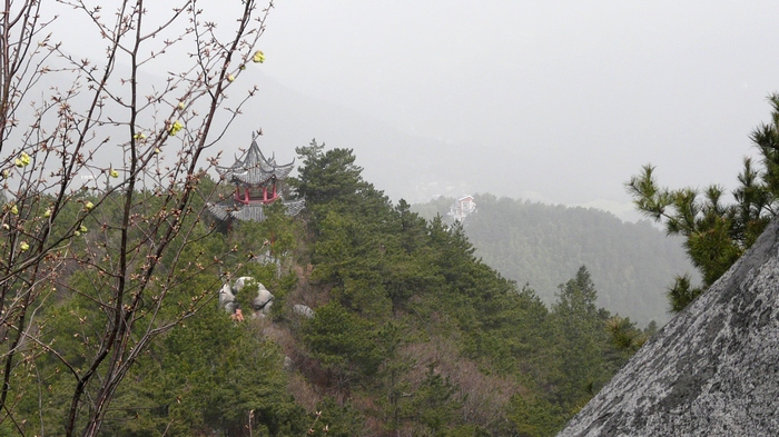 p1110865.jpg