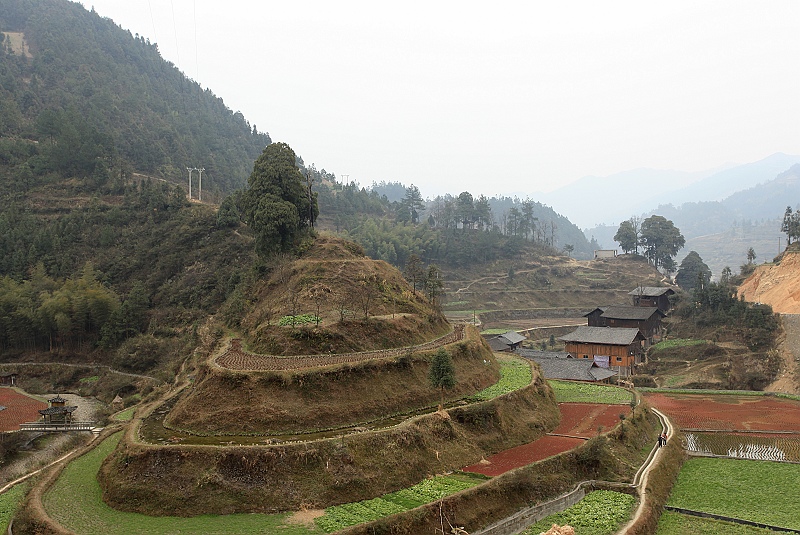 img_3590.jpg