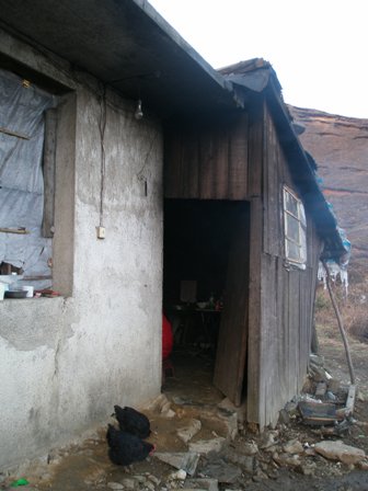 p2193345.jpg