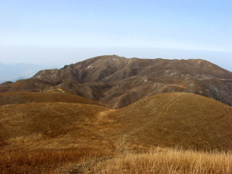 img_2866.jpg