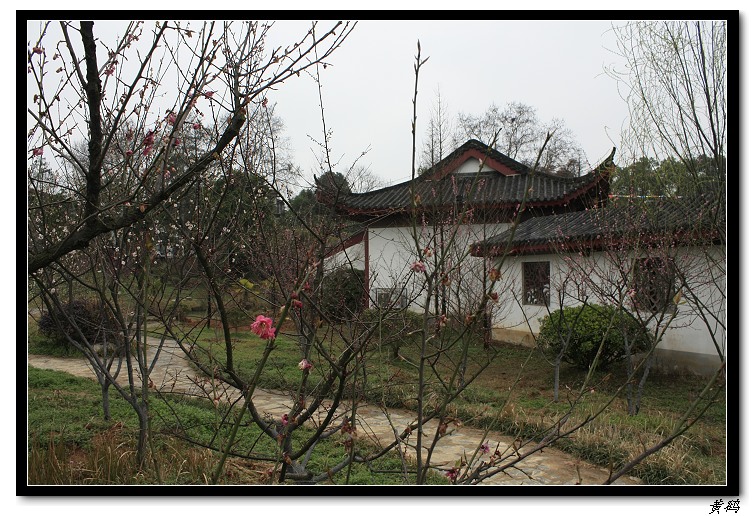 Ƭ 008.jpg