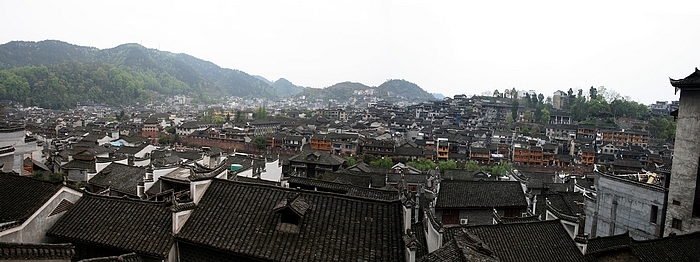 凤凰小.jpg