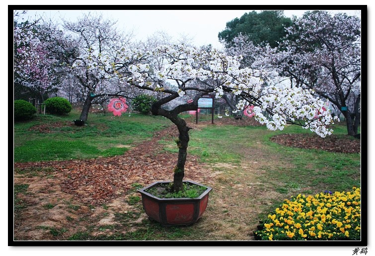 ӣ֮076.jpg