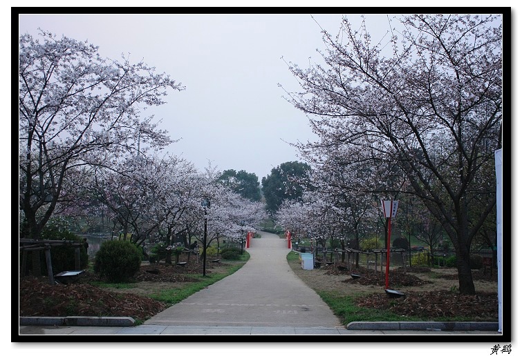 ӣ֮078.jpg