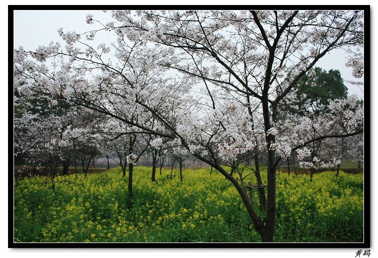 ӣ֮083.jpg