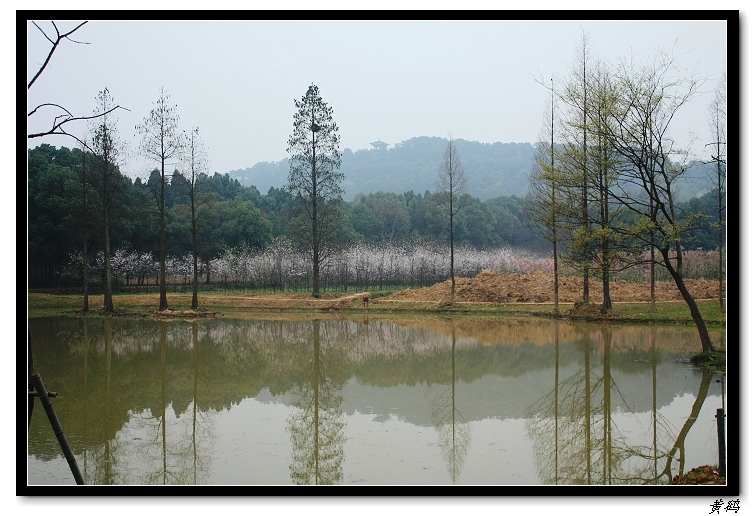 ӣ֮086.jpg