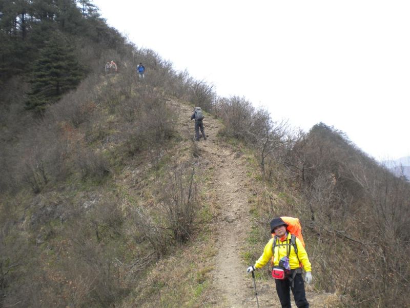 2010462311392360.jpg
