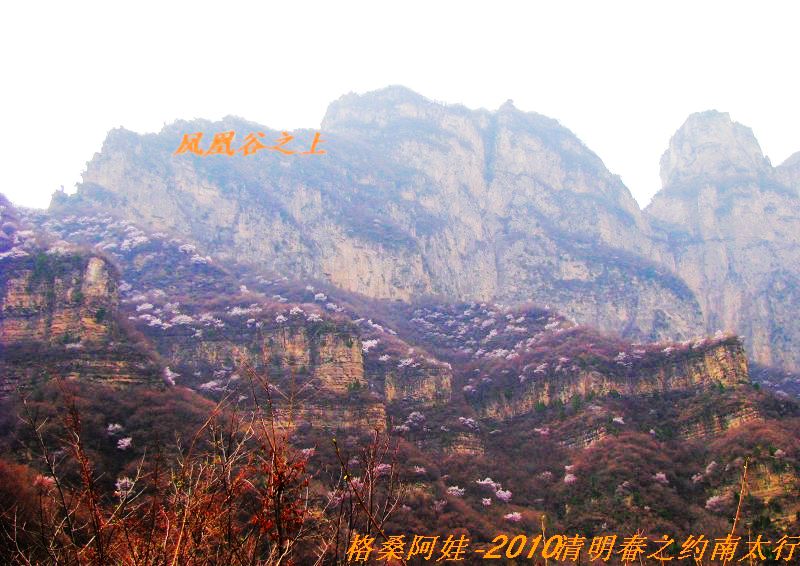 ̫֮2 748.jpg