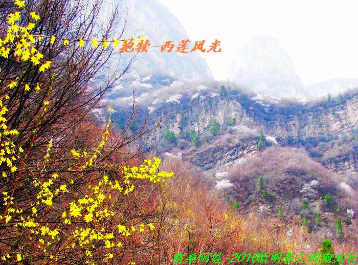 ̫֮2 754.jpg