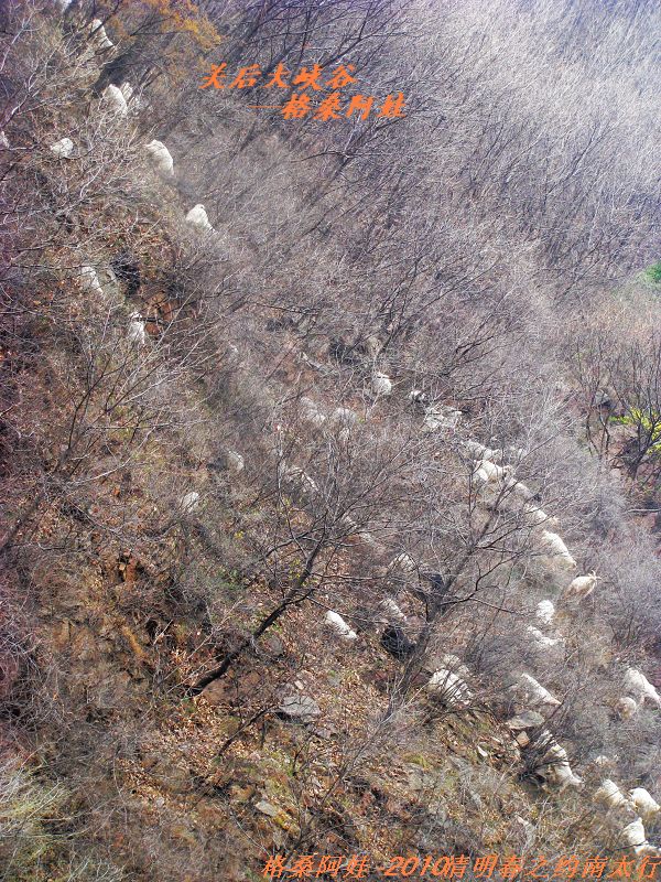 ̫֮2 1117.jpg