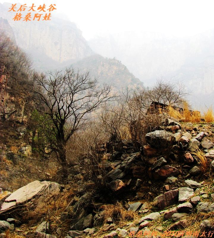 ̫֮2 1157.jpg