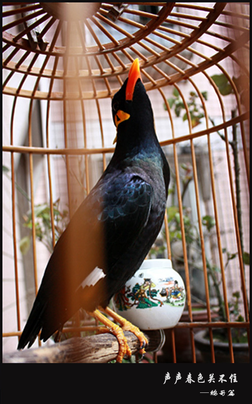 Ӹ-2.jpg