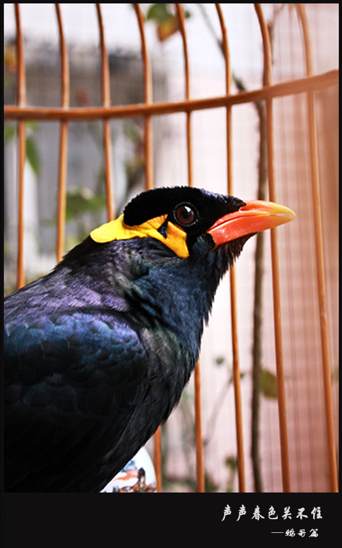Ӹ-6.jpg