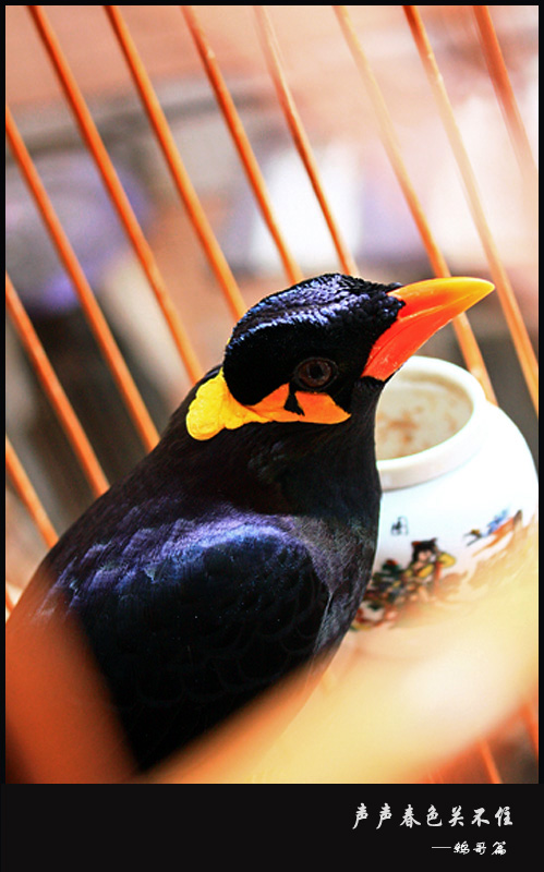 Ӹ-7.jpg