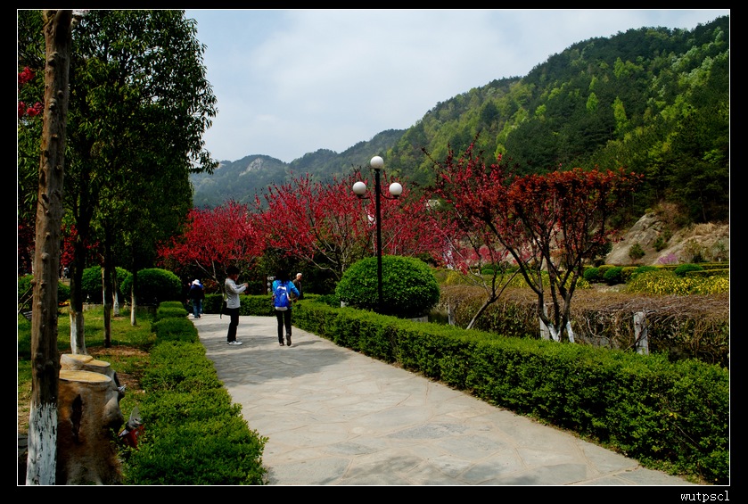 dsc_7767026.jpg