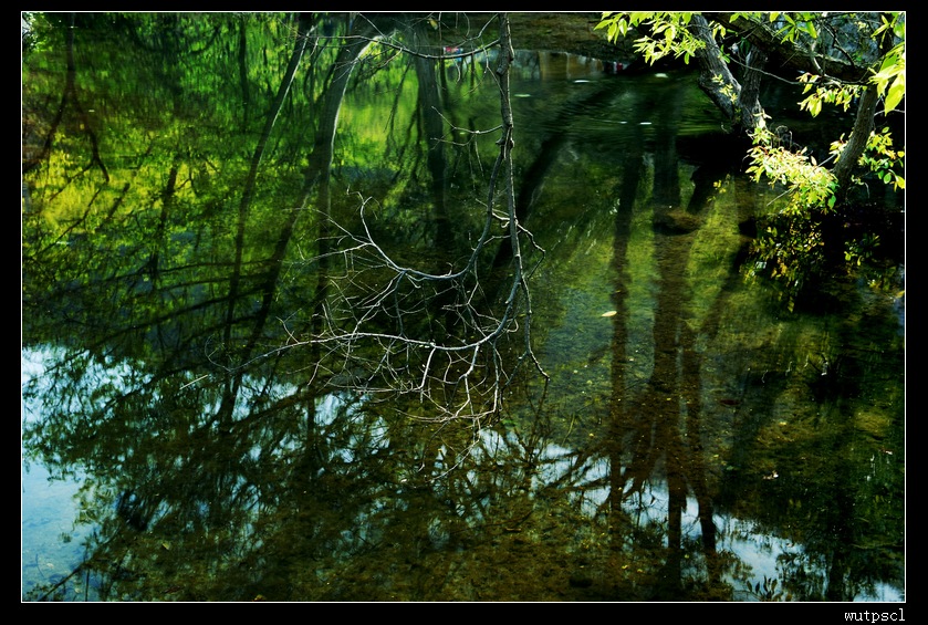 dsc_7894148.jpg