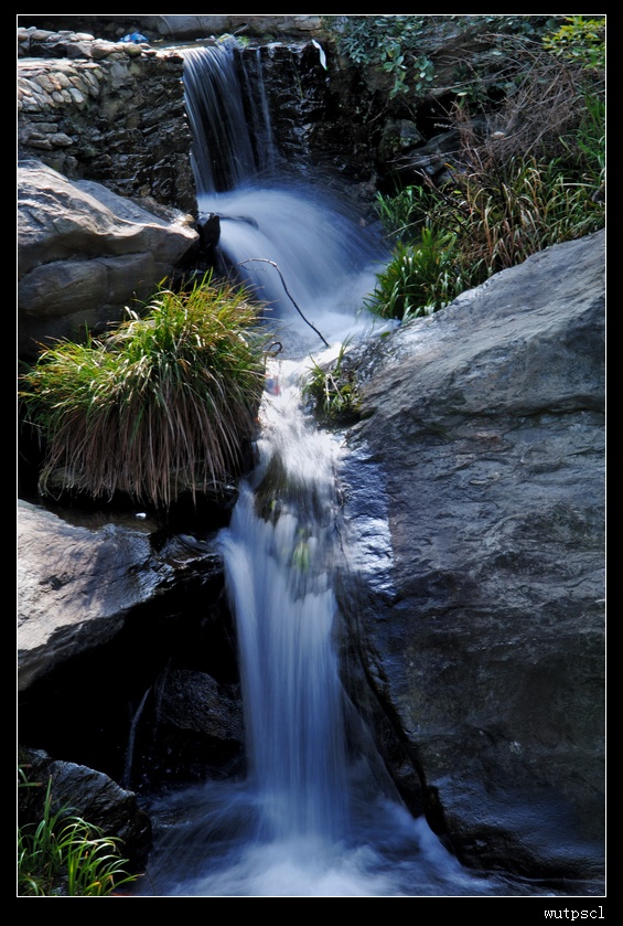 dsc_7744003.jpg