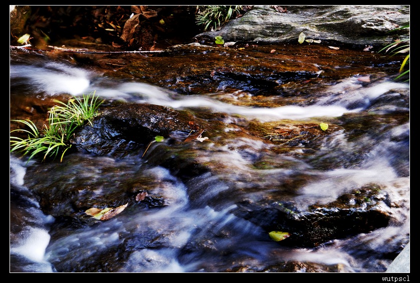 dsc_7868127.jpg