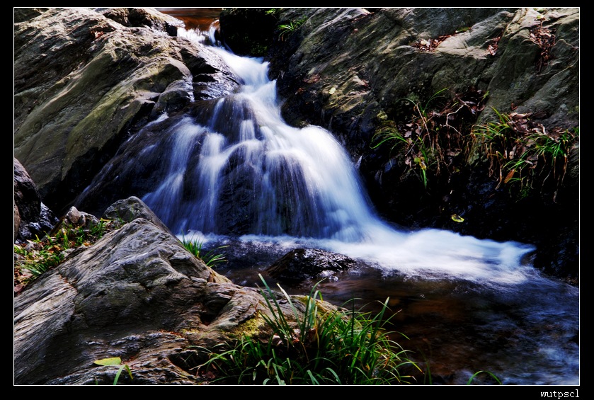 dsc_7866125.jpg