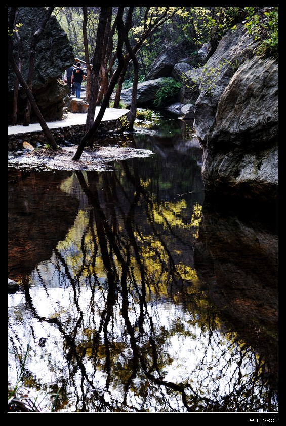 dsc_7929182.jpg