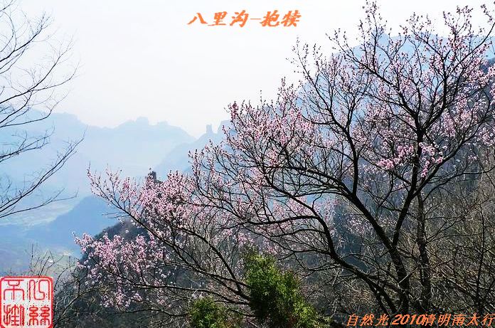 l1100410.jpg