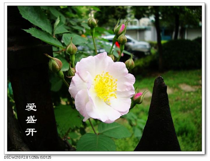 dsc03814-1.jpg