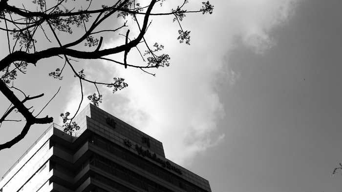 p1030637.jpg