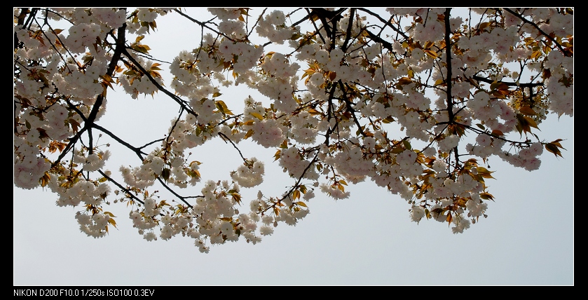 dsc_0028.jpg
