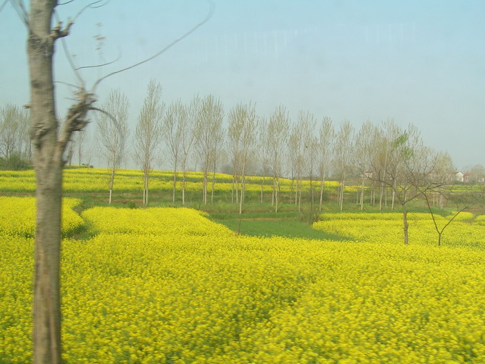 pict0010_С.jpg