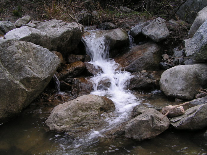 pict0083_С.jpg