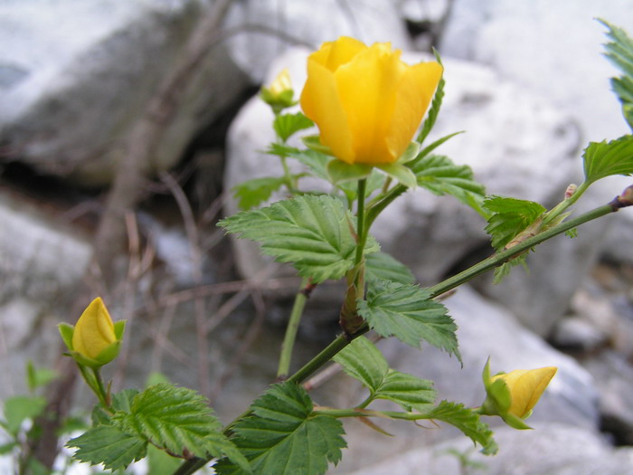 pict0091_С.jpg