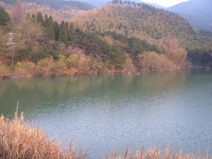 pict0143_С.jpg