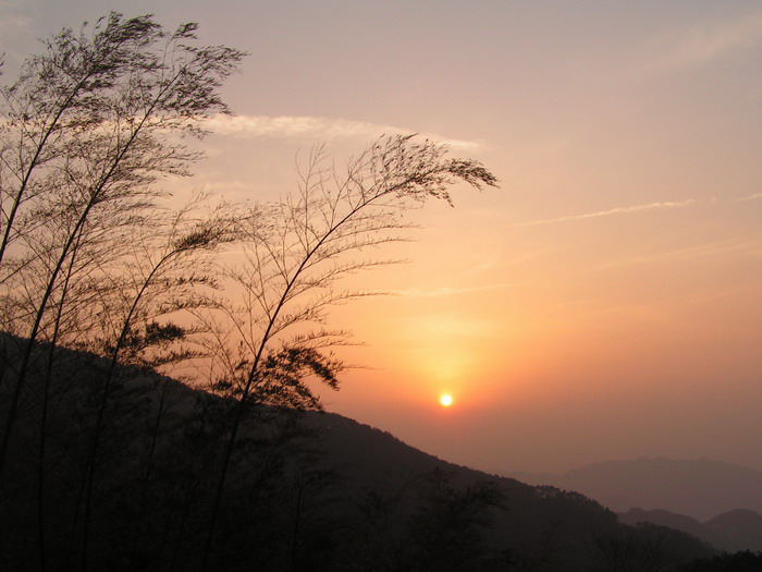 pict0158_С.jpg