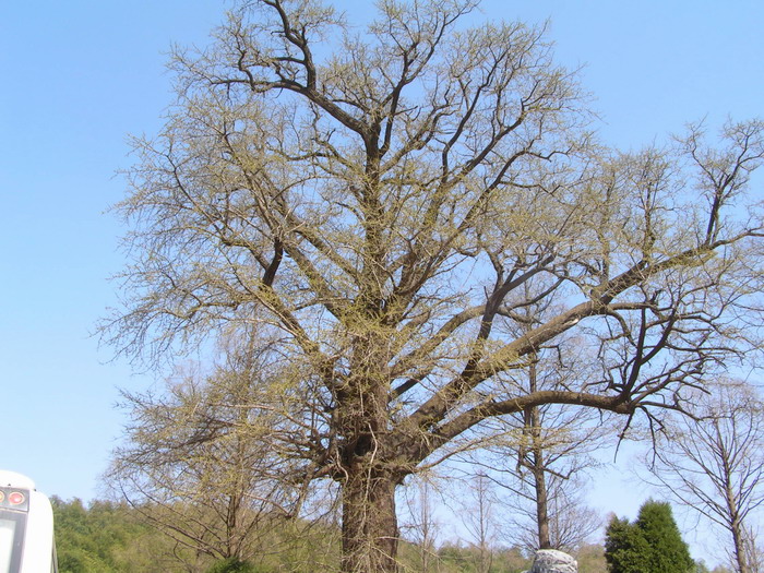 pict0212_С.jpg