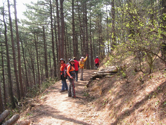 pict0020_С.jpg