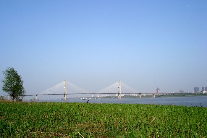 dsc00970.jpg